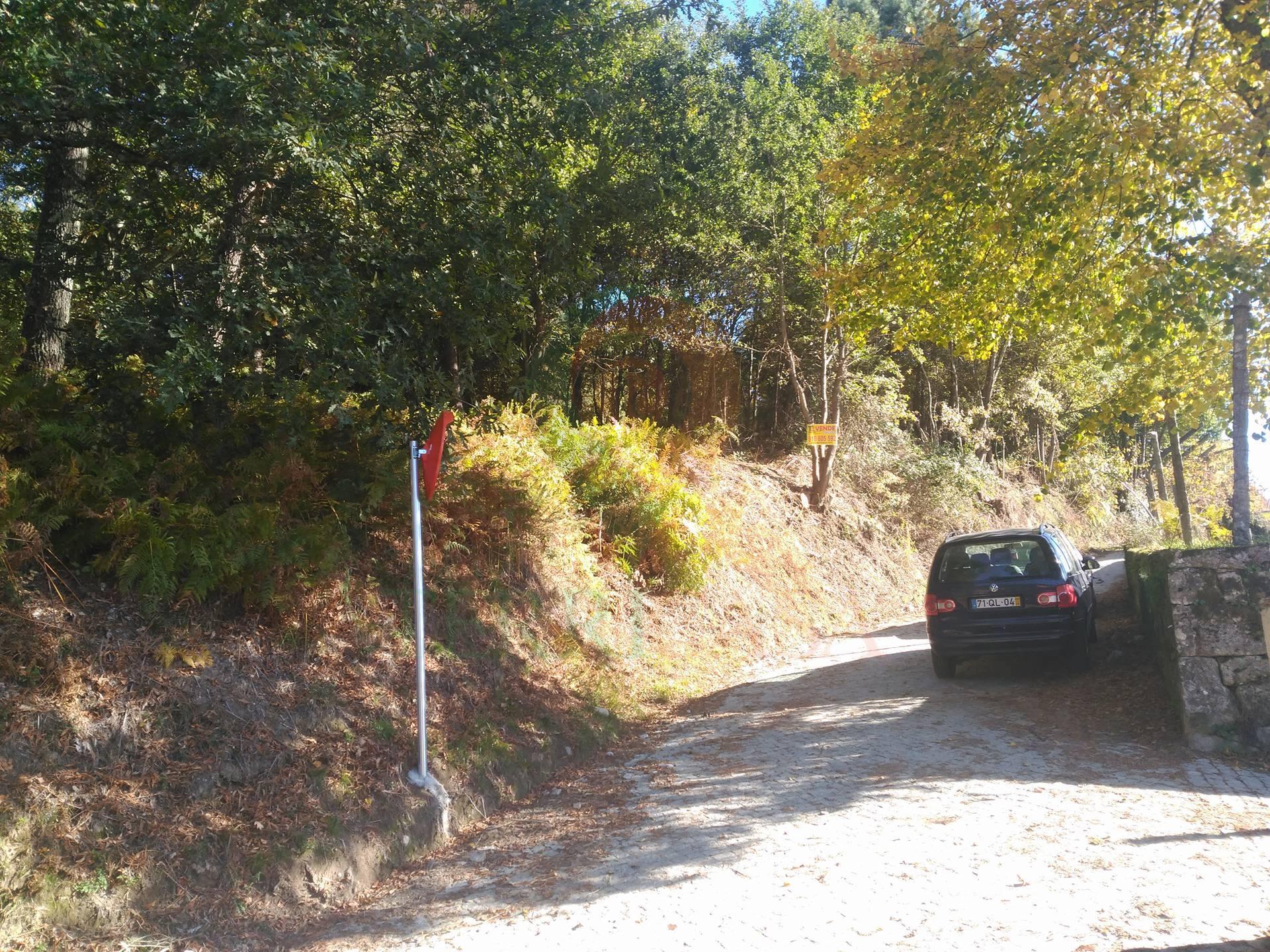 15681718_1536736516343062_215723435_o