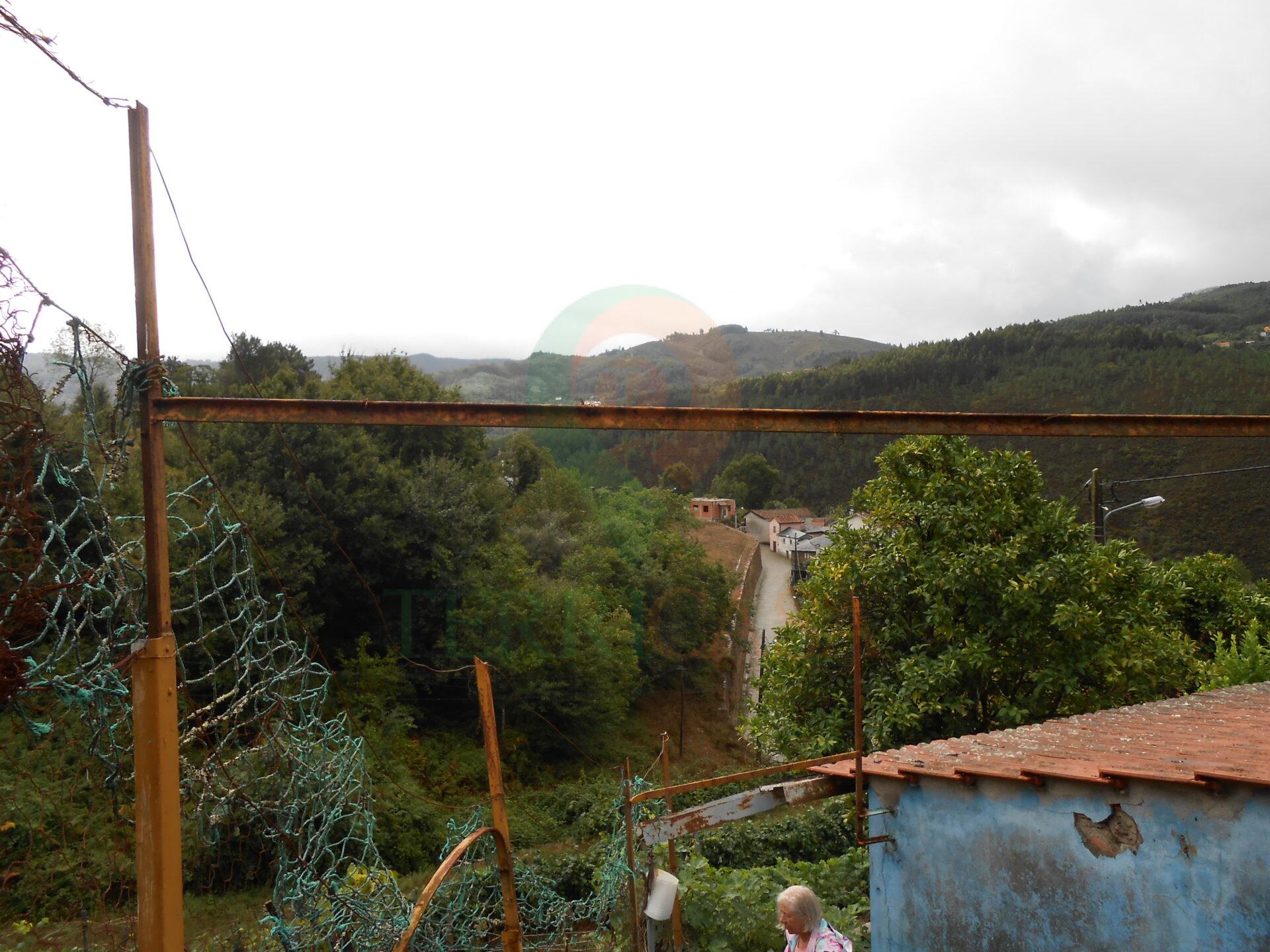 DSCN7962