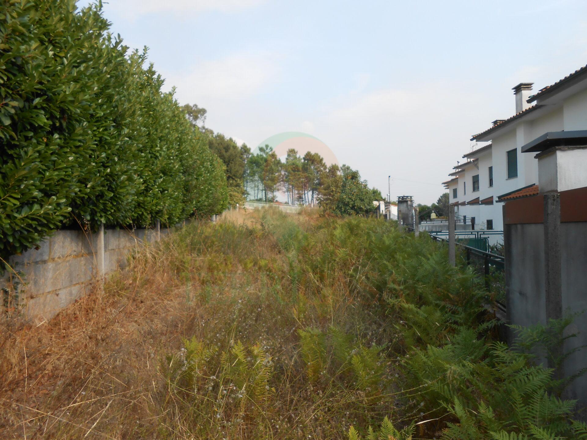 DSCN2293