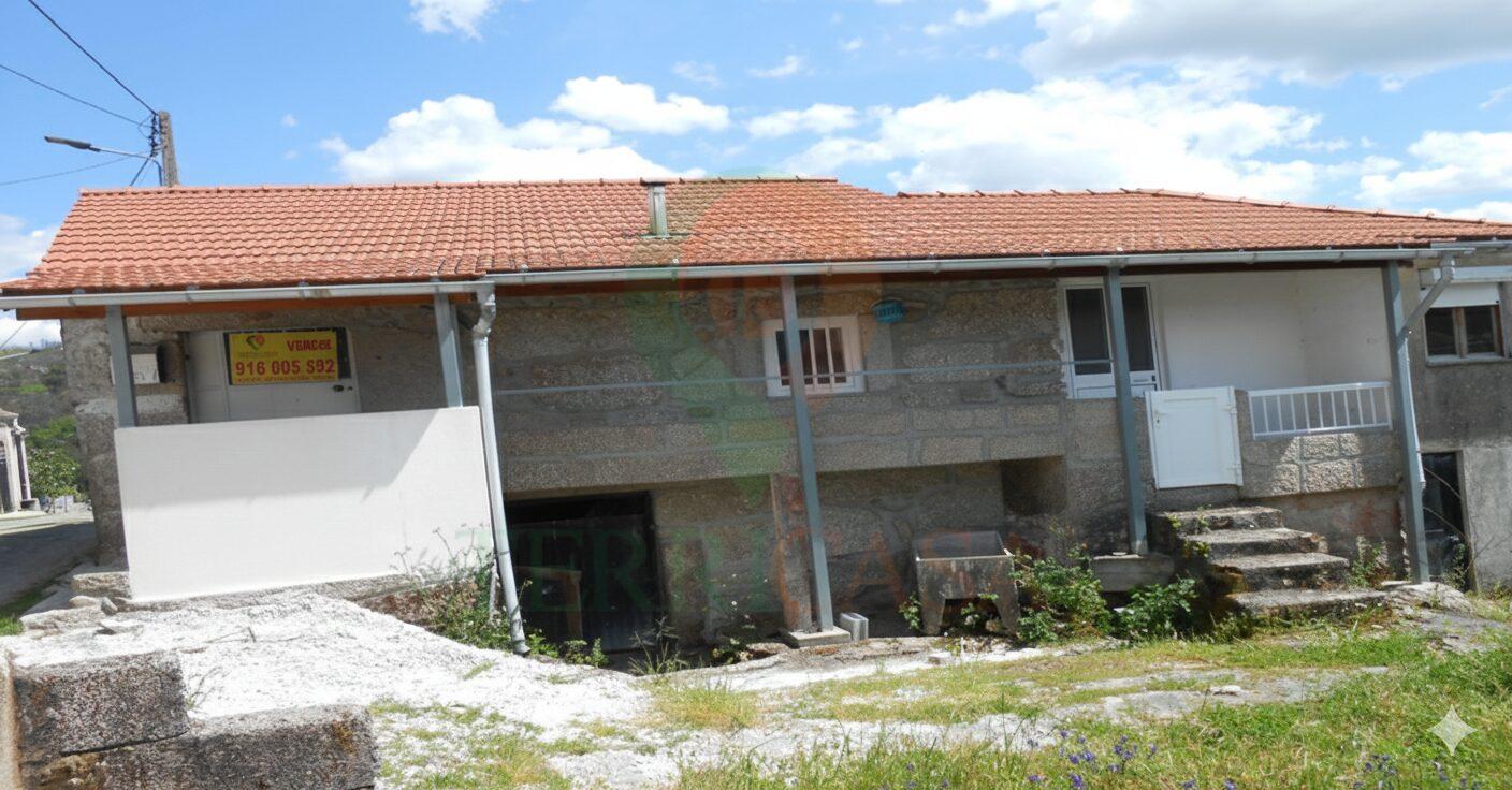 Gemini_Generated_Image_t6598ct6598ct659