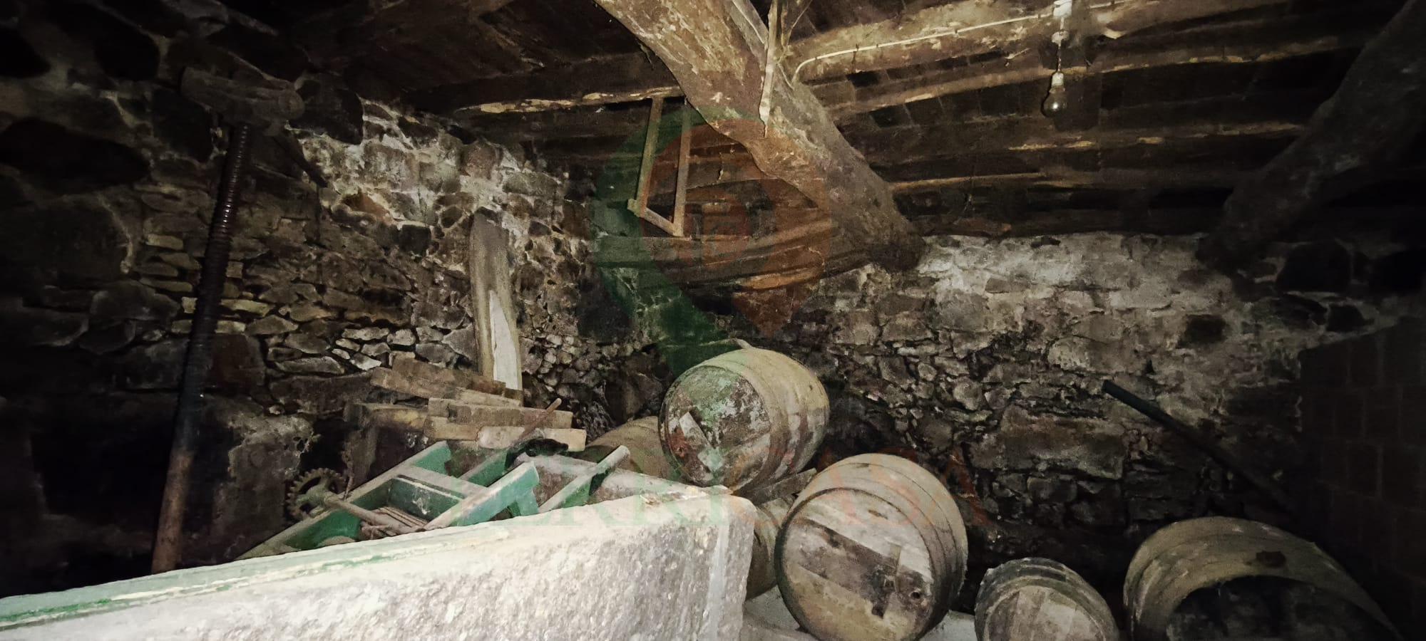 WhatsApp Image 2026-01-30 at 12.06.53 (4)