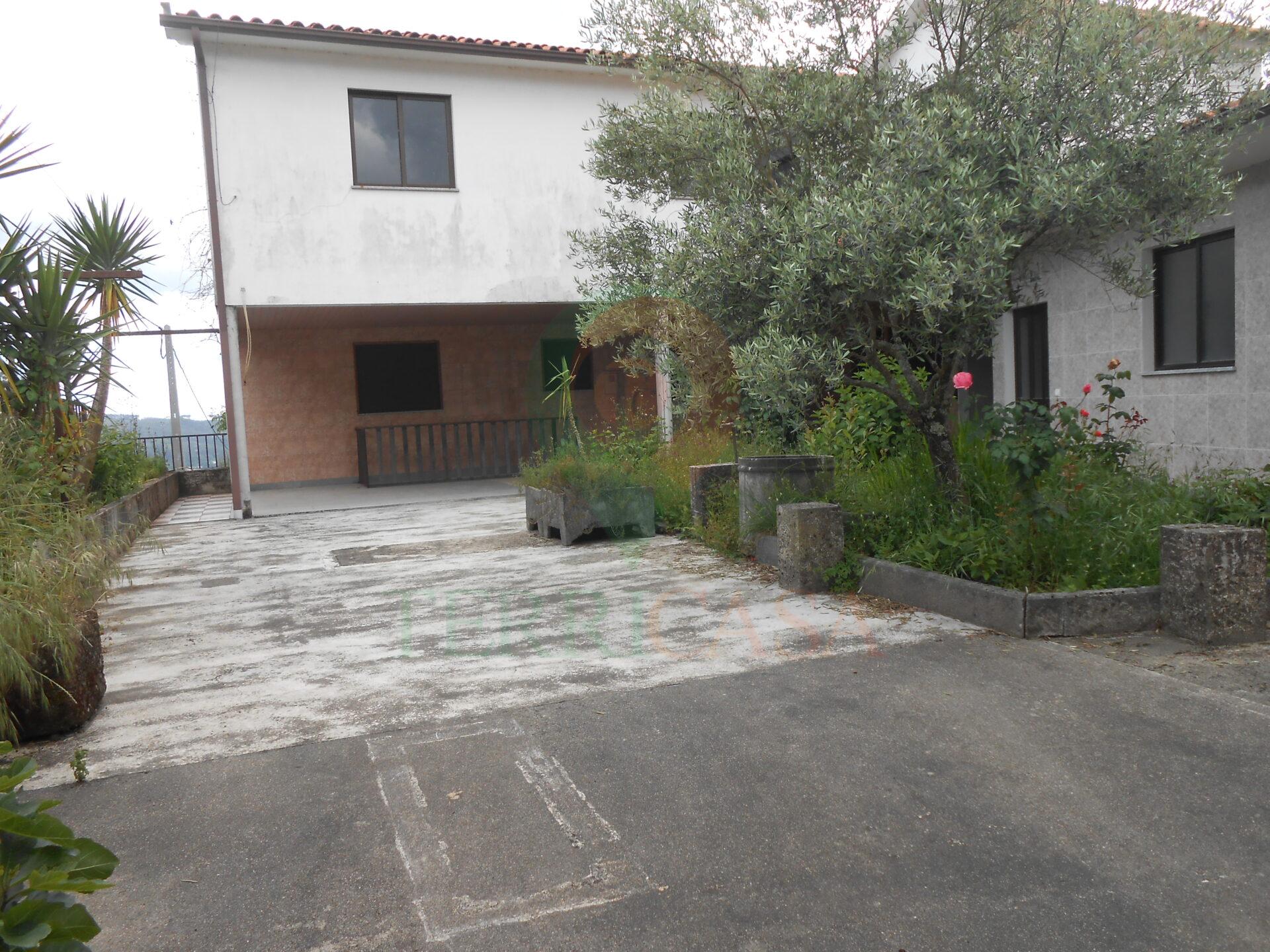 DSCN5469