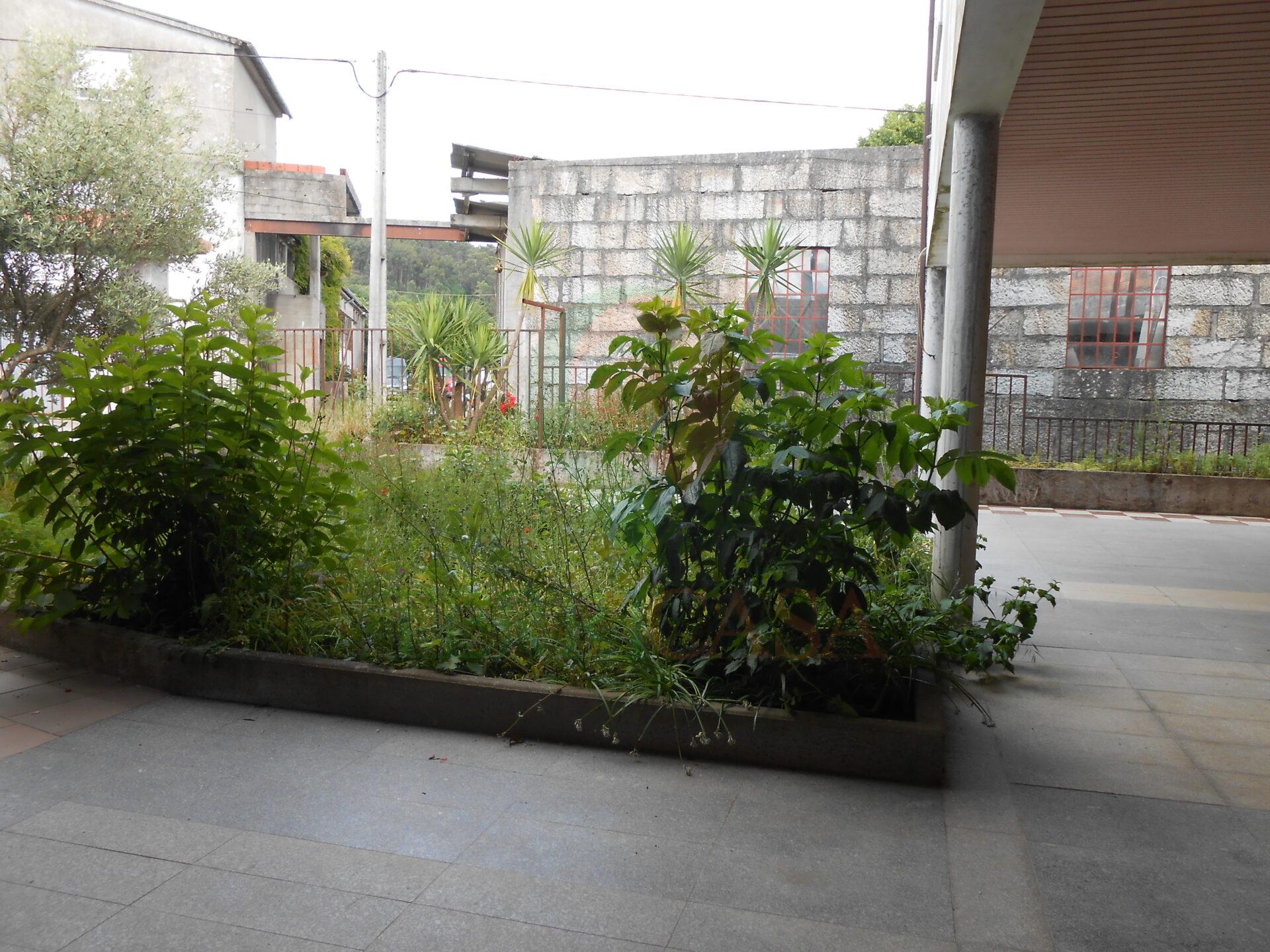 DSCN5526