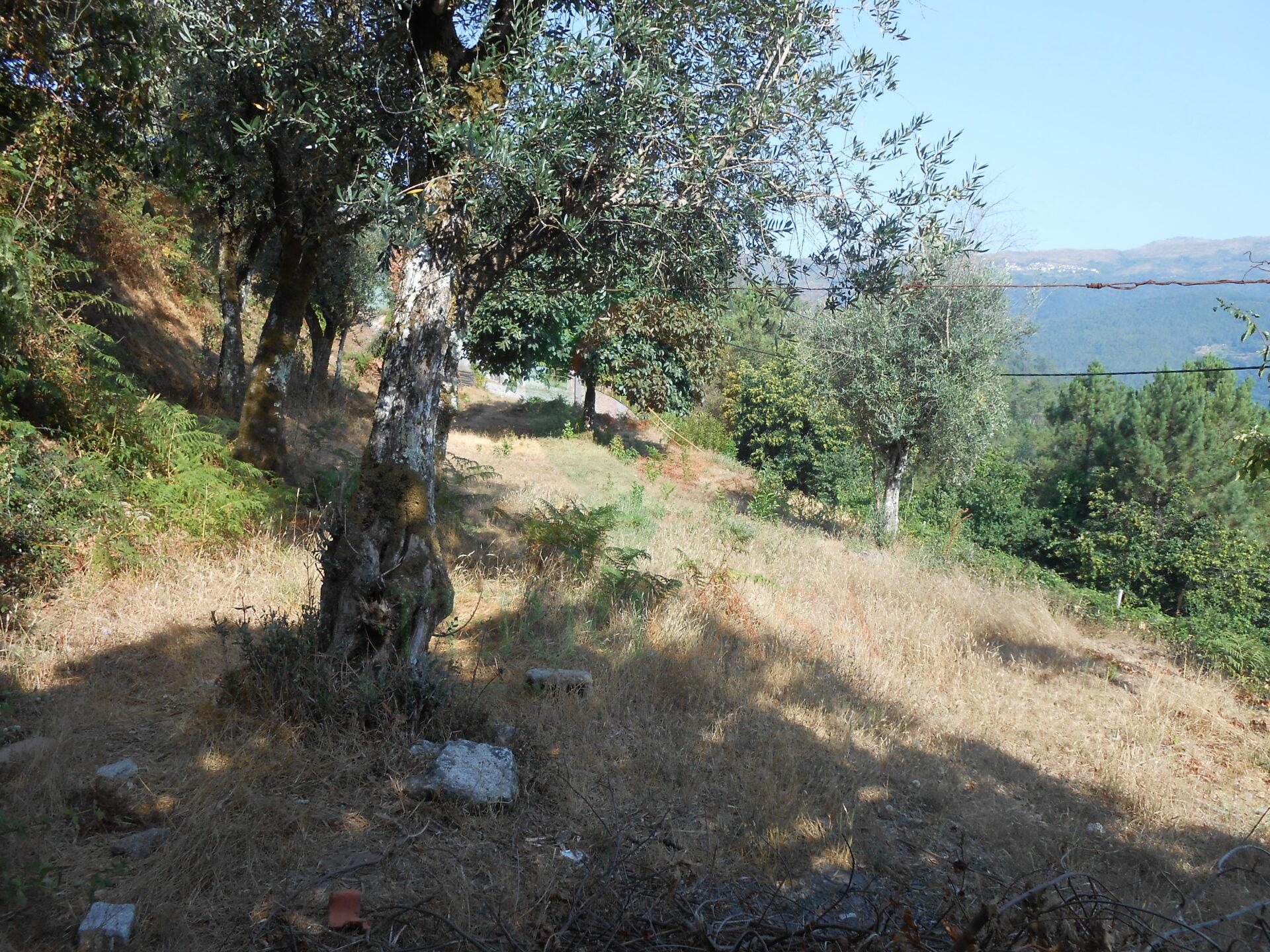 DSCN6034